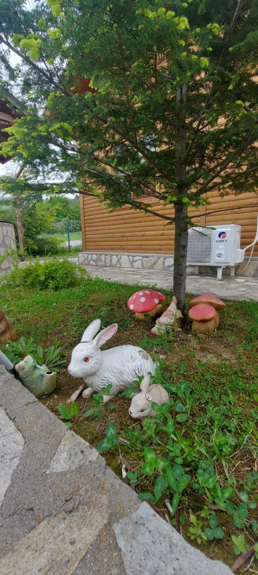 Mini Complex Rilski Terasi Sapareva Banya Dış mekan fotoğraf
