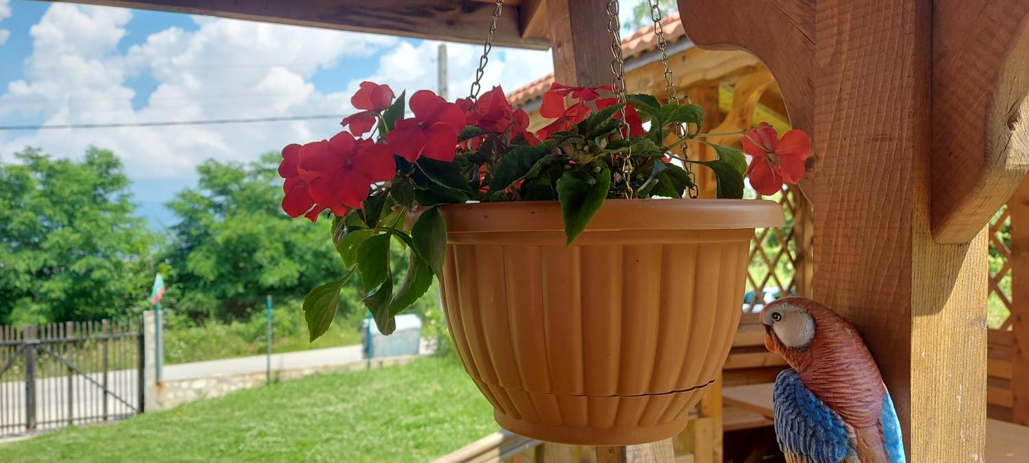 Mini Complex Rilski Terasi Sapareva Banya Dış mekan fotoğraf