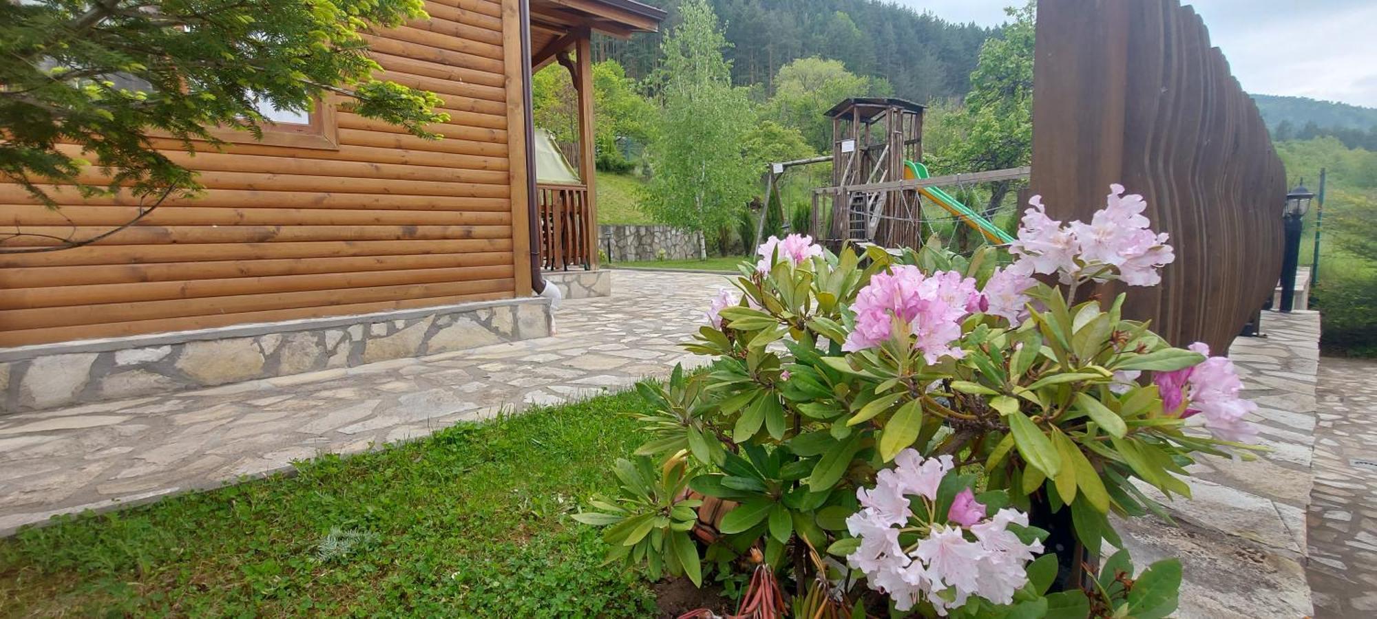 Mini Complex Rilski Terasi Sapareva Banya Dış mekan fotoğraf